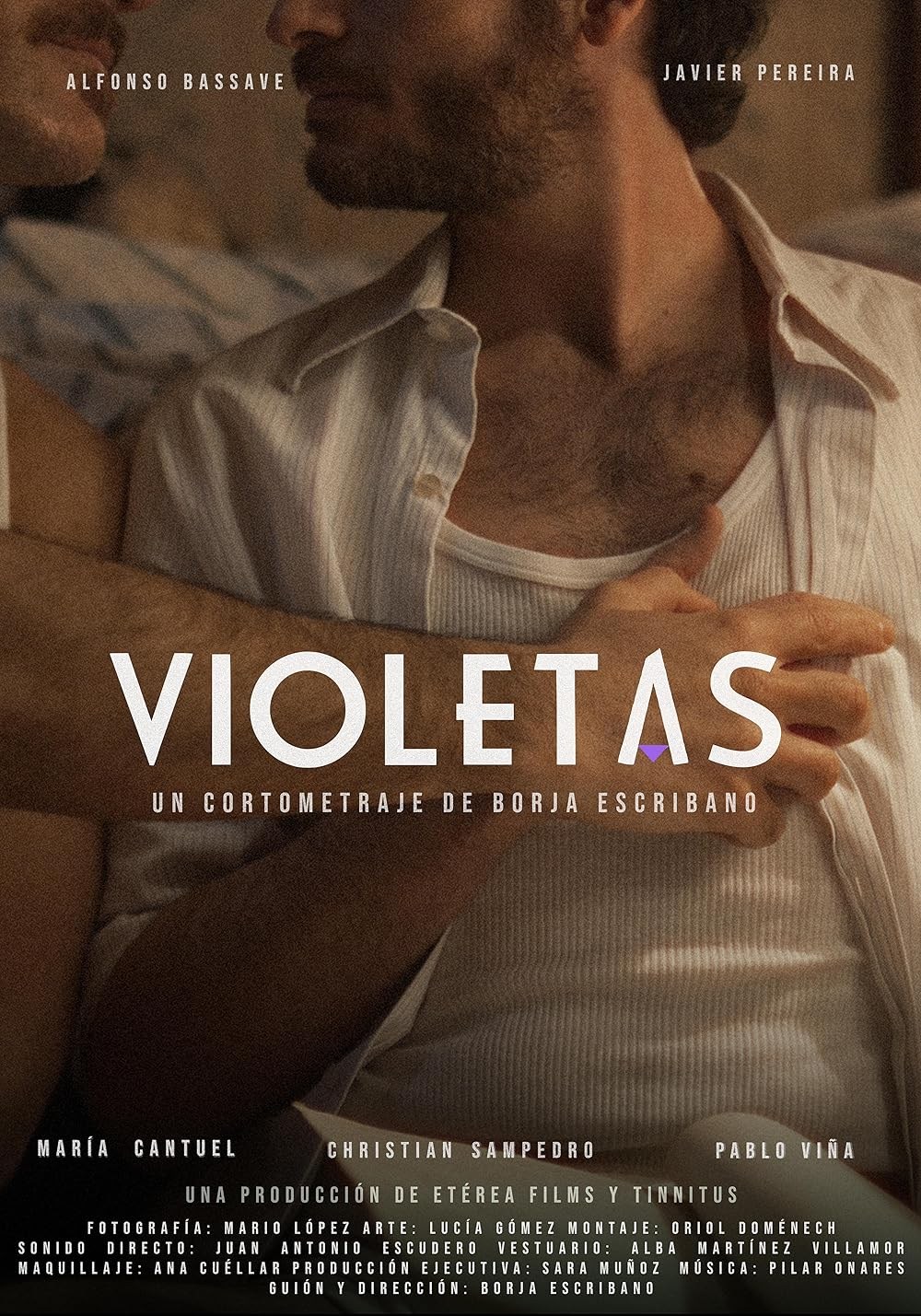 Poster de VIOLETAS