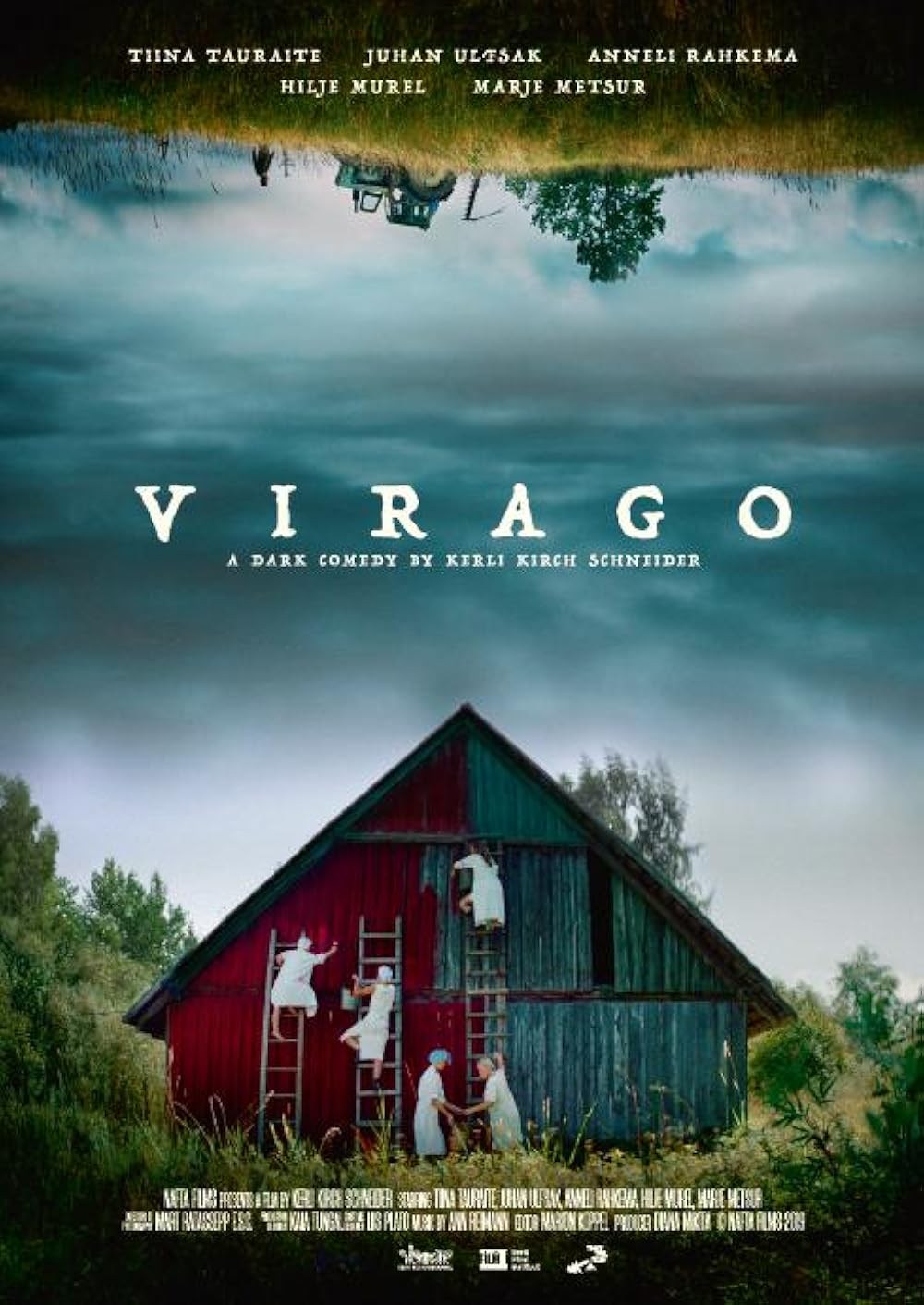 Poster de VIRAGO