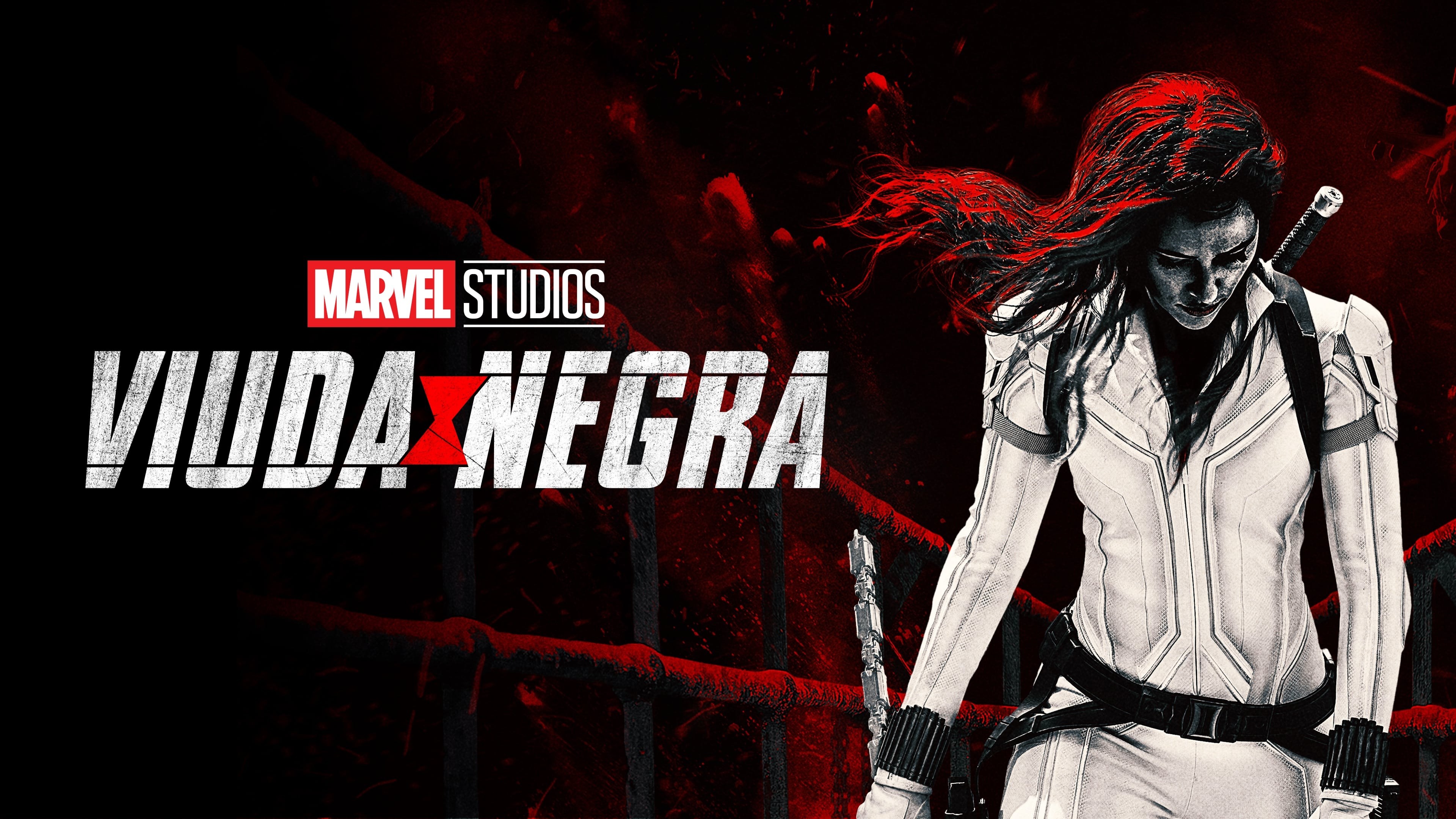 Foto de VIUDA NEGRA