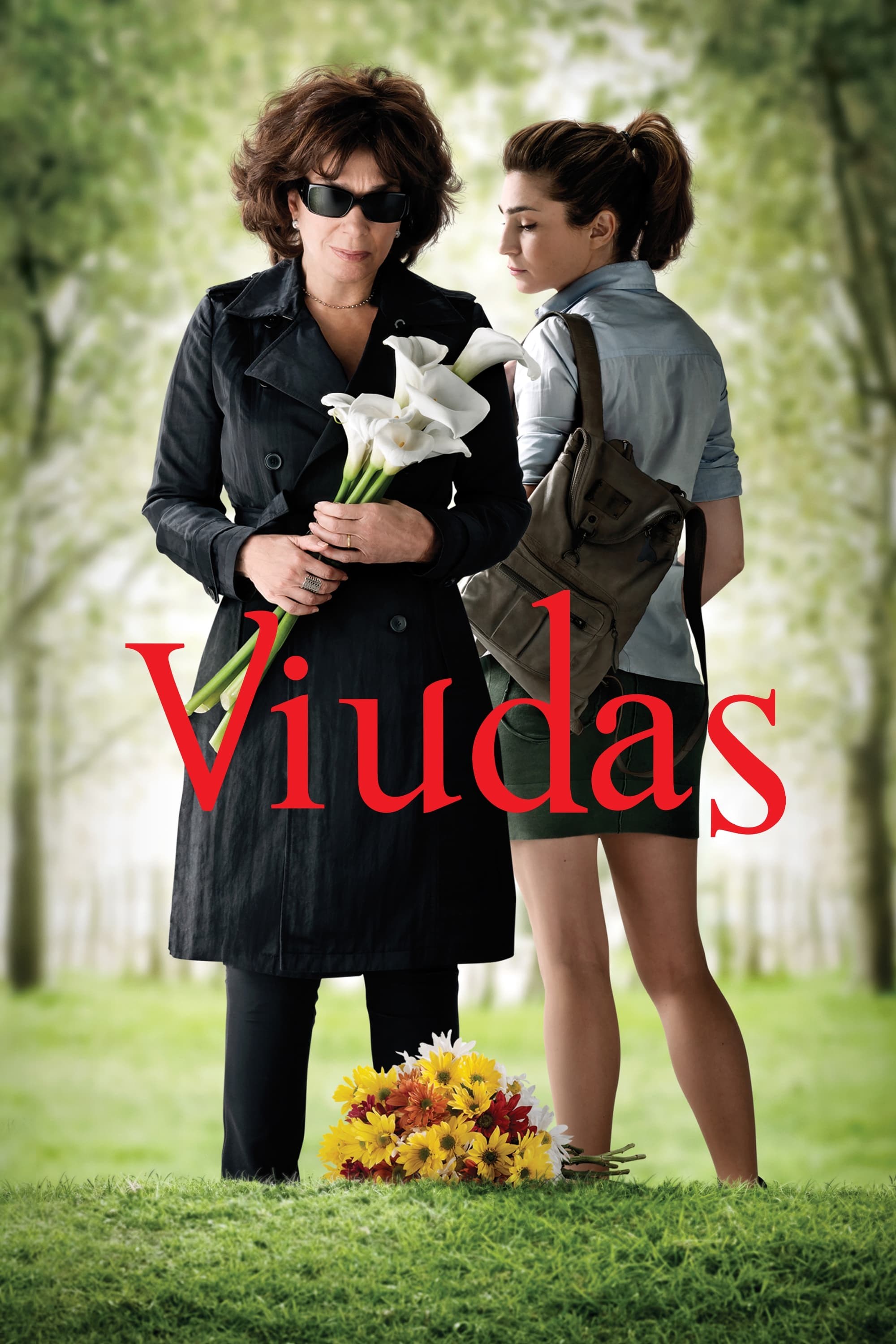 Poster de VIUDAS en español