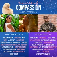 Voices of Compassion