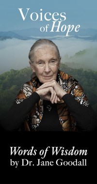 Voices of Hope ~ Words of Wisdom by Dr. Jane Goodall