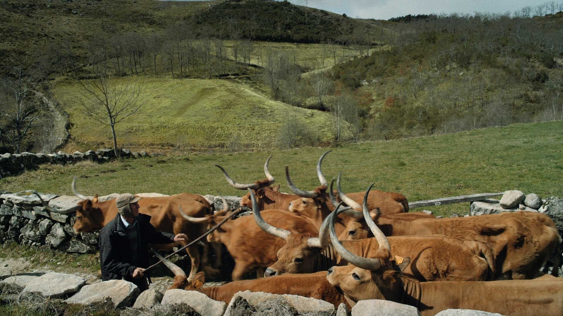 Foto de VOLTA À TERRA