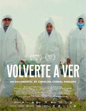 Volverte a Ver