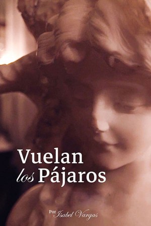 Vuelan Los Pájaros