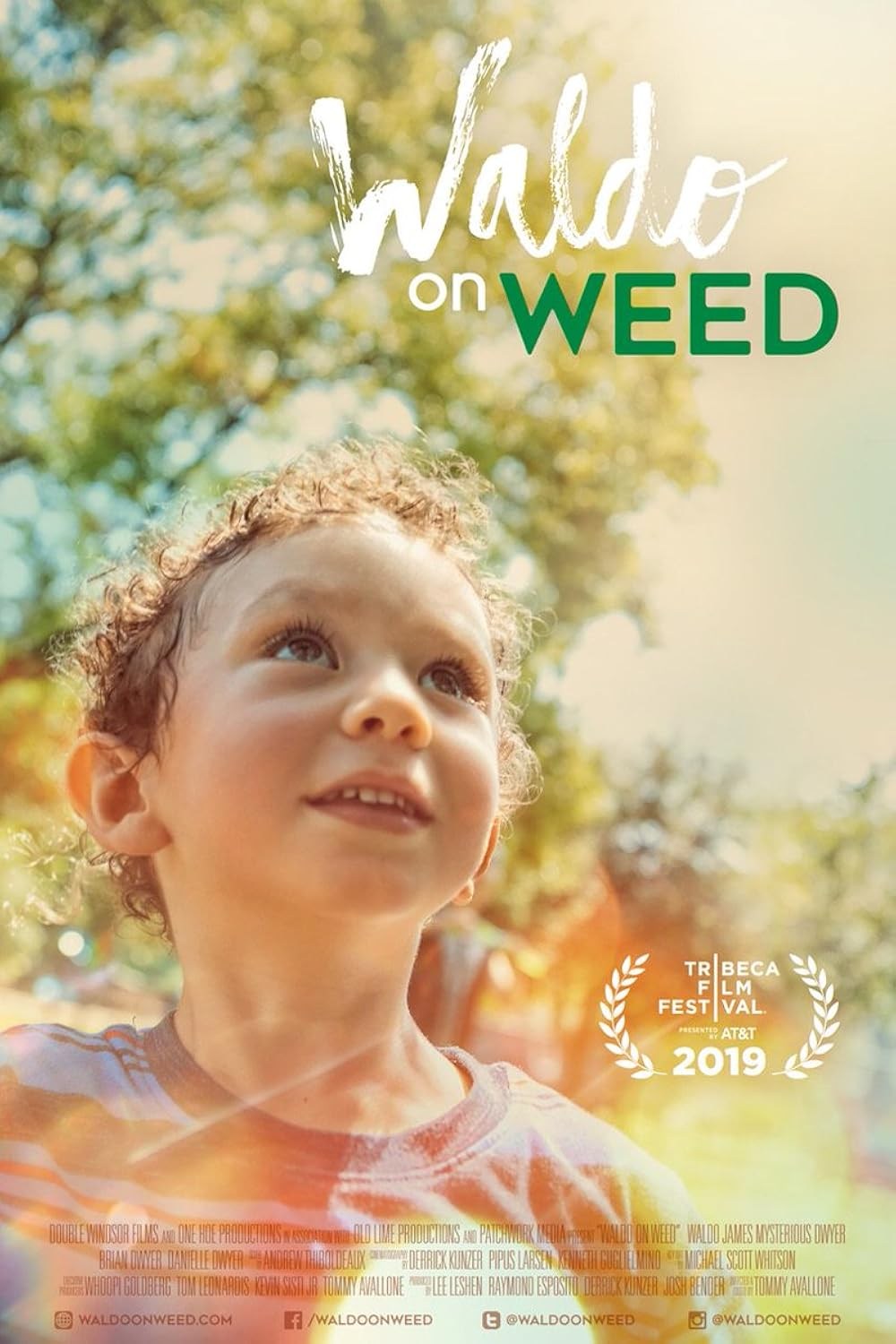 Poster de WALDO ON WEED