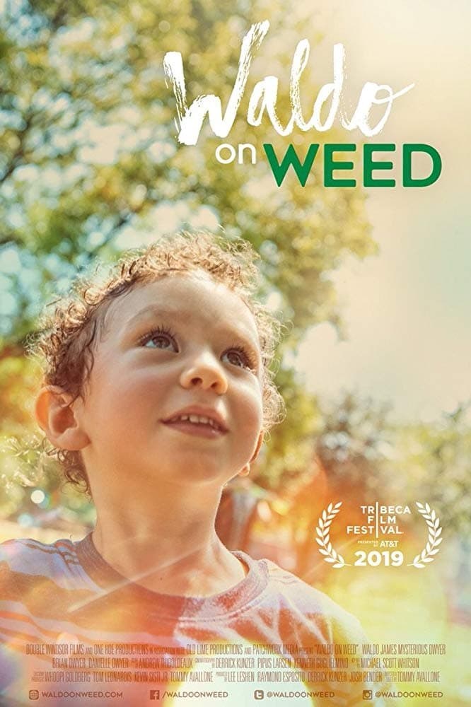 Poster de WALDO ON WEED