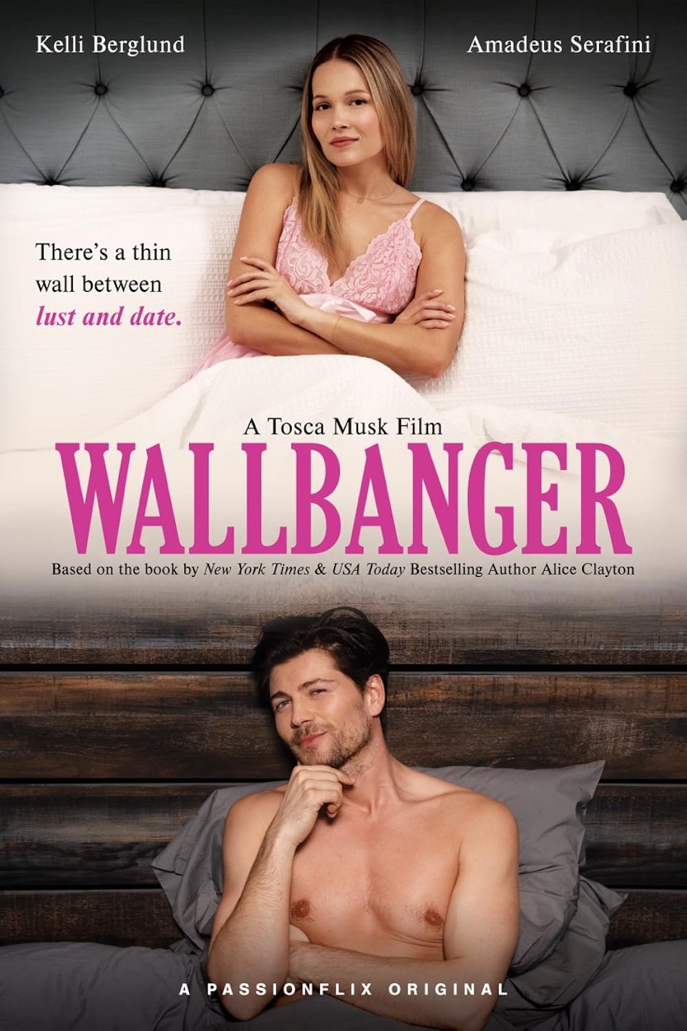 Poster de WALLBANGER