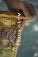 War and Honey