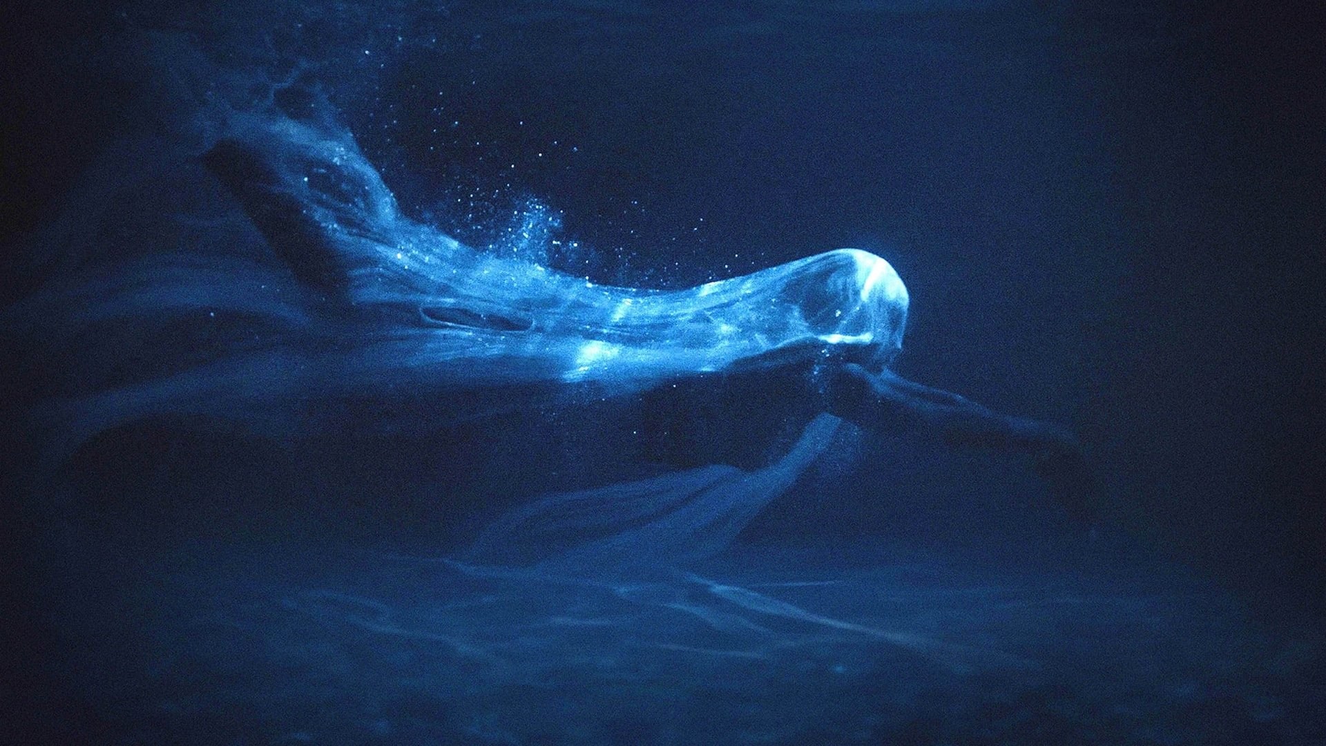 Foto de WATER