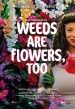 Weeds Are Flowers, Too