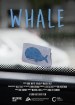 Whale