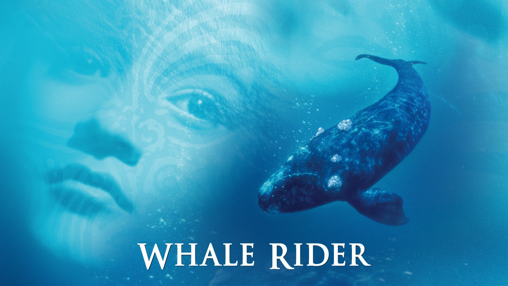 Foto de WHALE RIDER