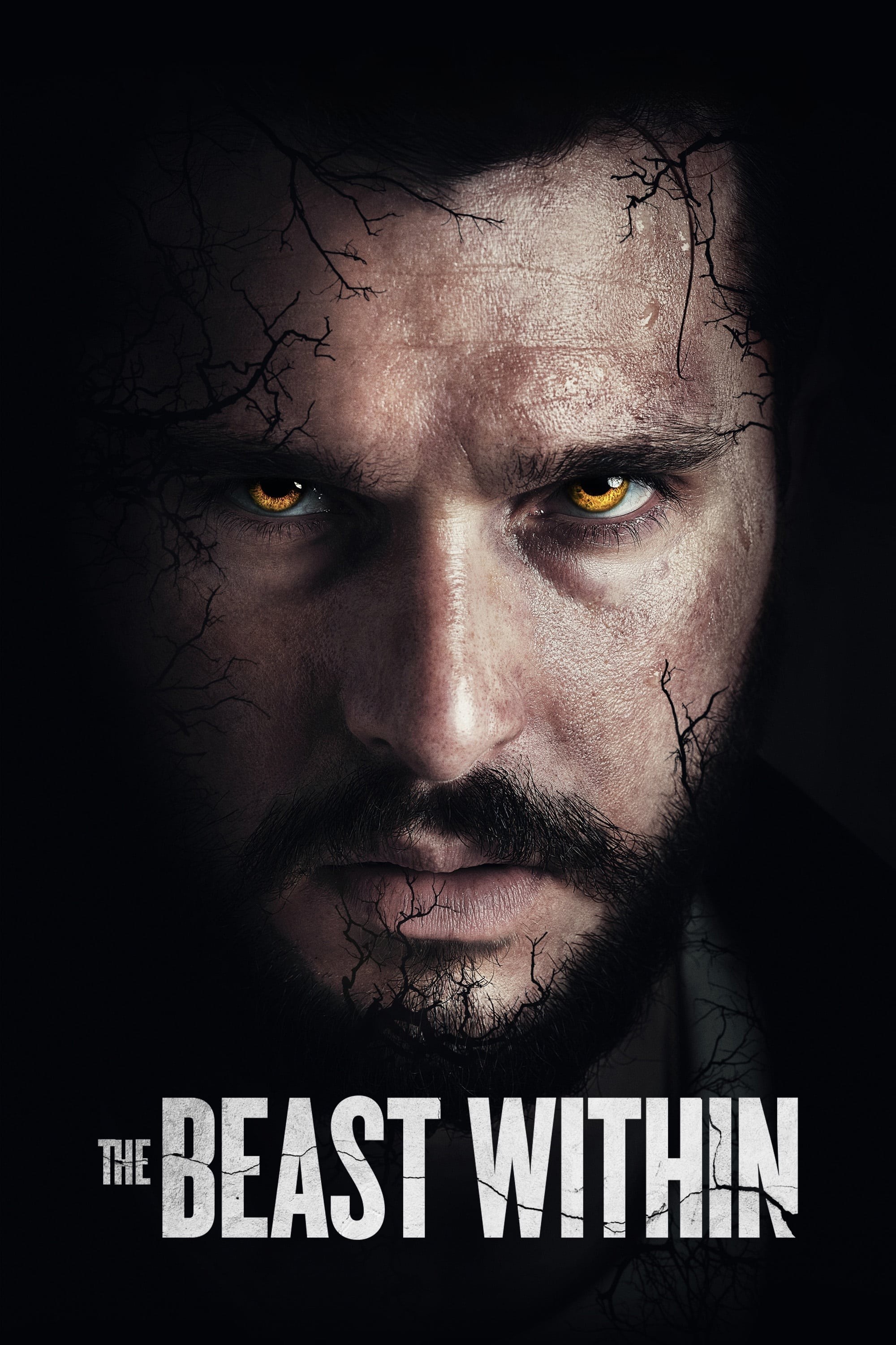 Poster de THE BEAST WITHIN