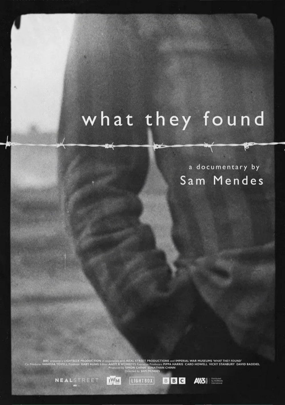 Poster de WHAT THEY FOUND