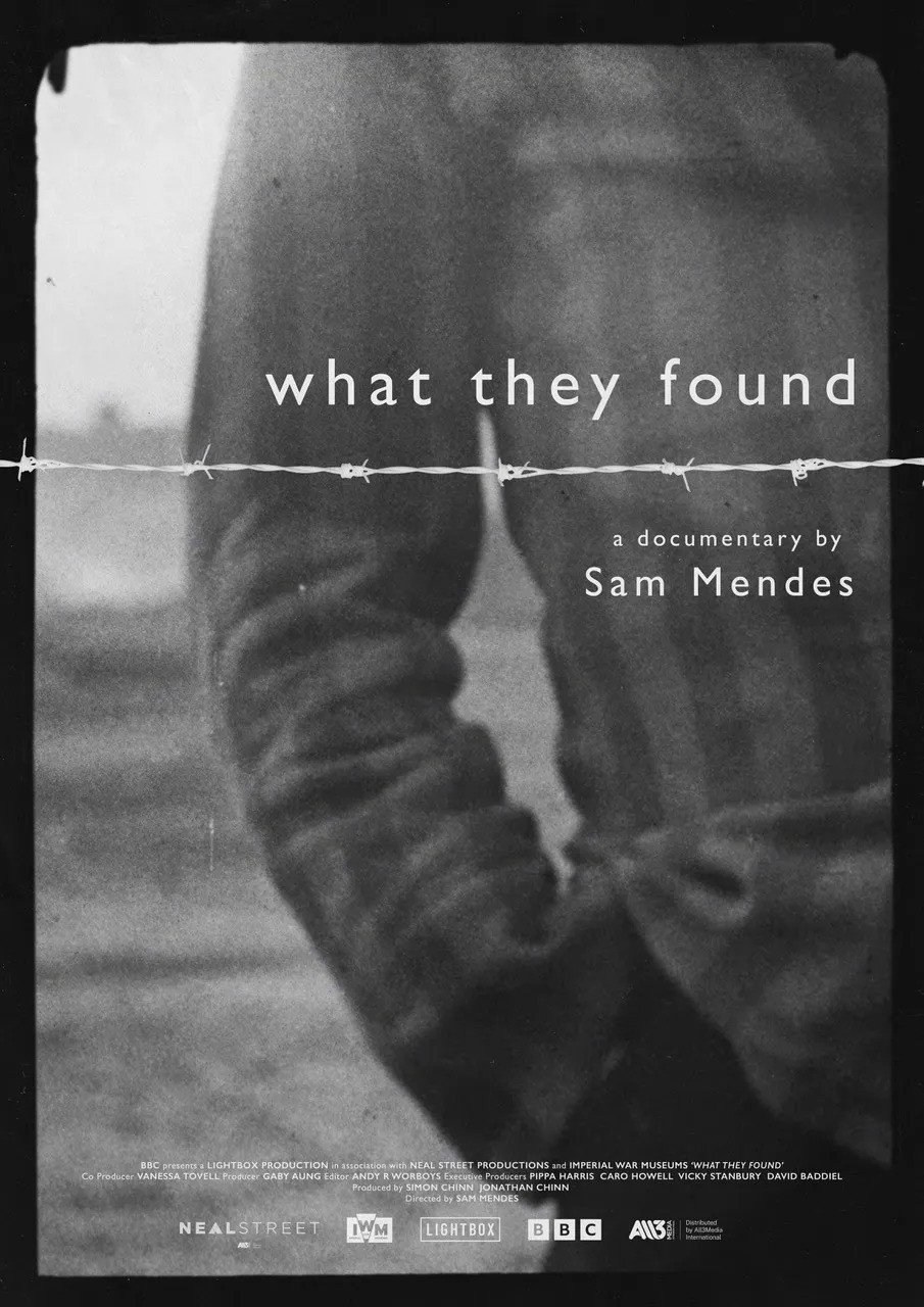 Poster de WHAT THEY FOUND en inglés