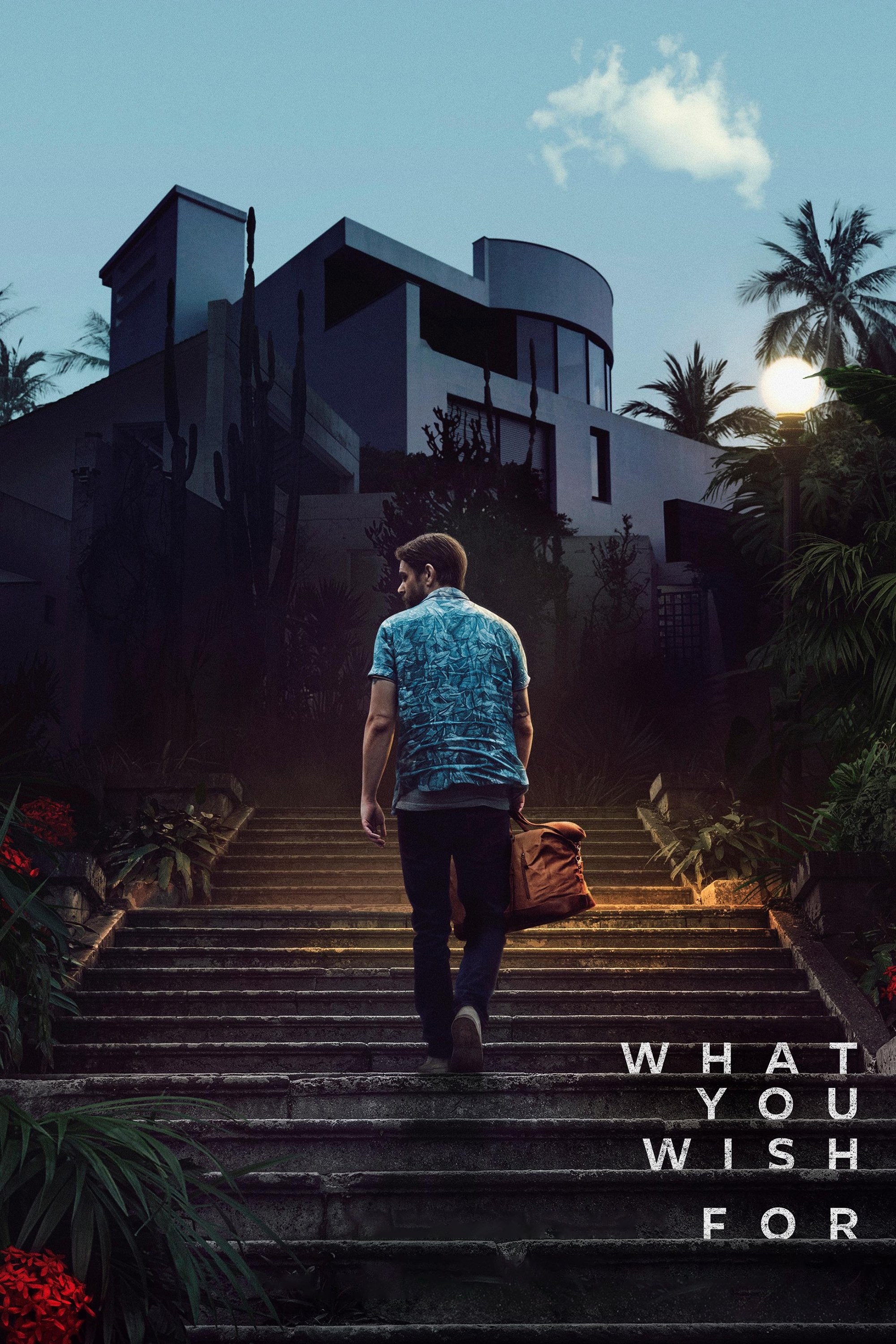 Poster de WHAT YOU WISH FOR en inglés