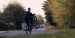 Wheelie