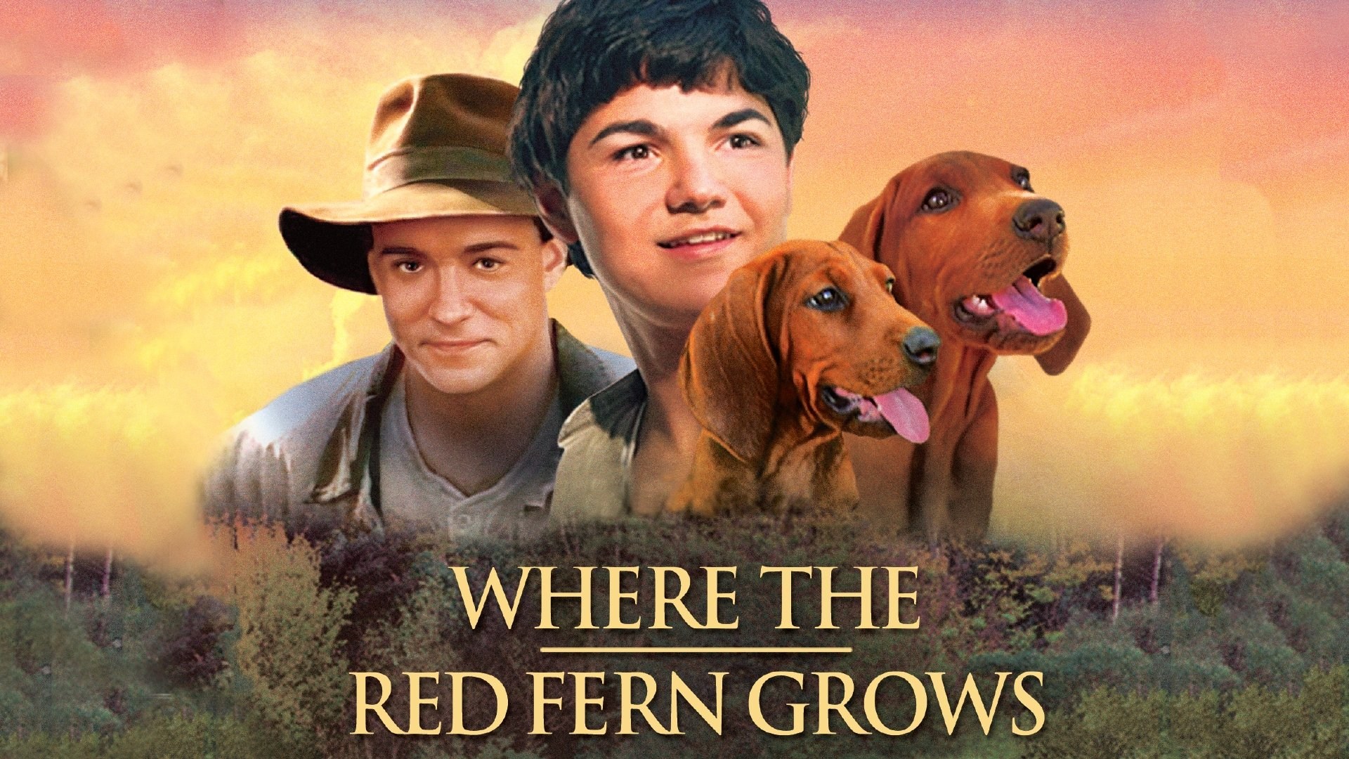 Foto de WHERE THE RED FERN GROWS