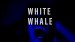 White Whale