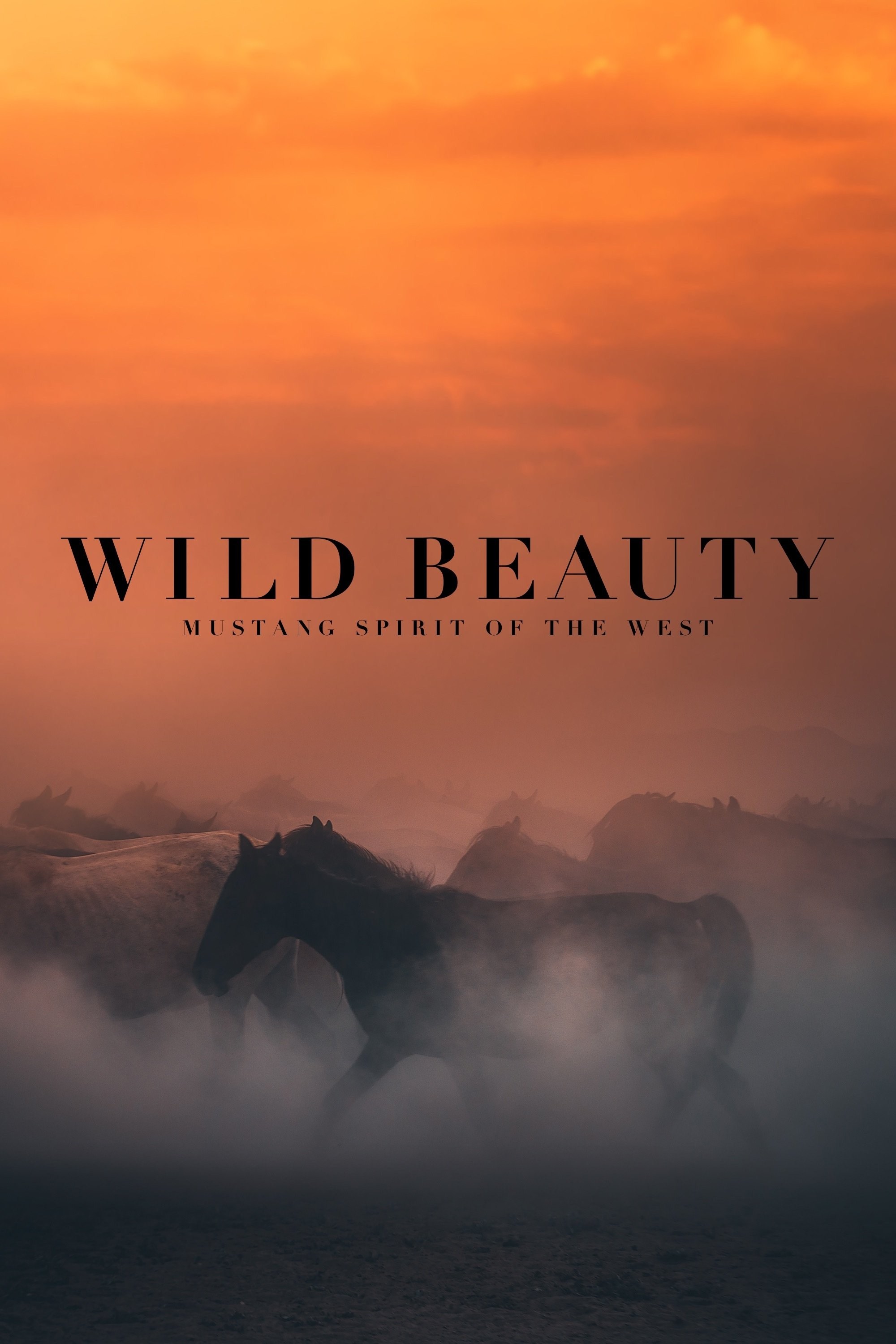 Poster de WILD BEAUTY: MUSTANG SPIRIT OF THE WEST en inglés