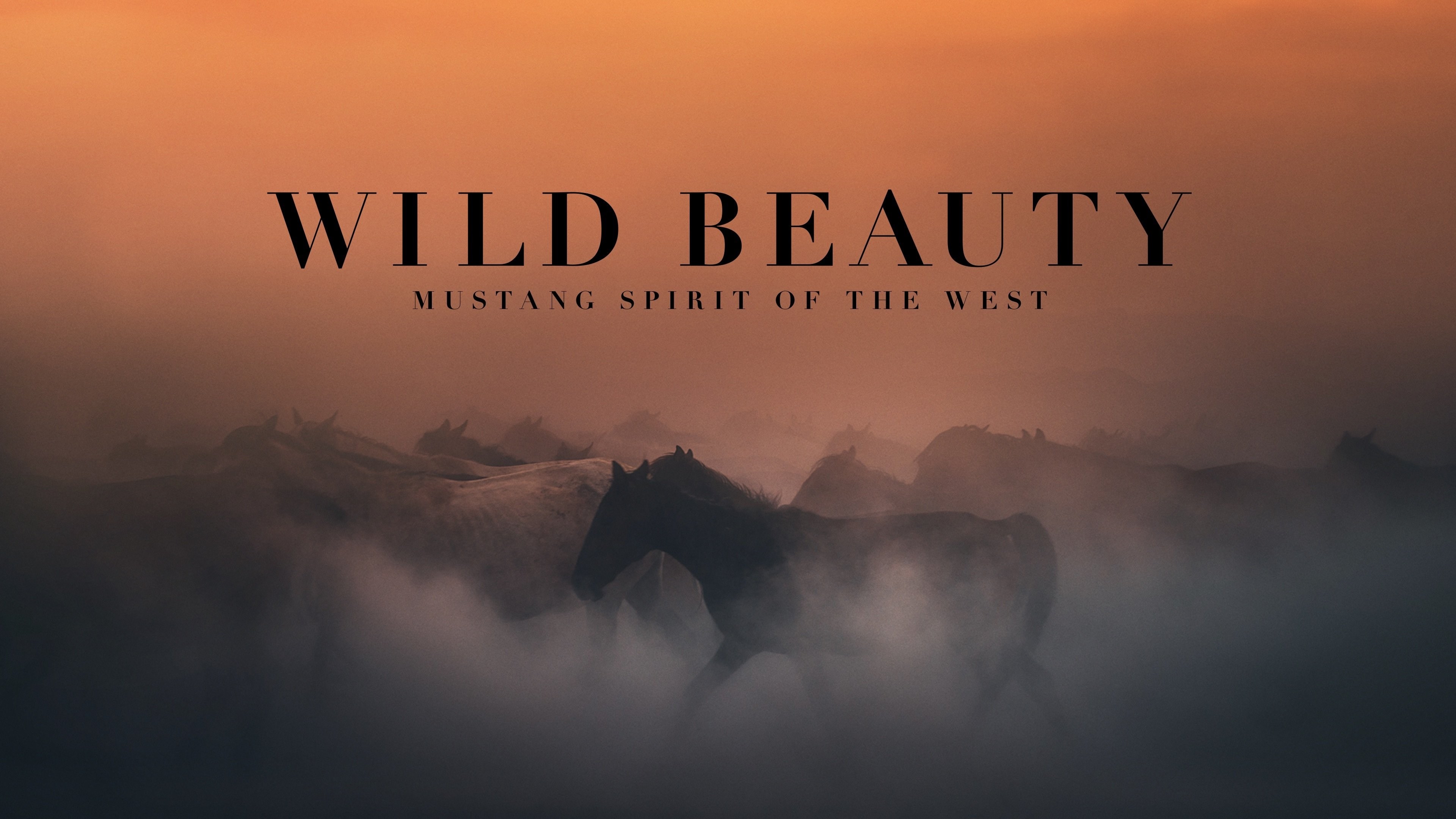 Foto de WILD BEAUTY: MUSTANG SPIRIT OF THE WEST