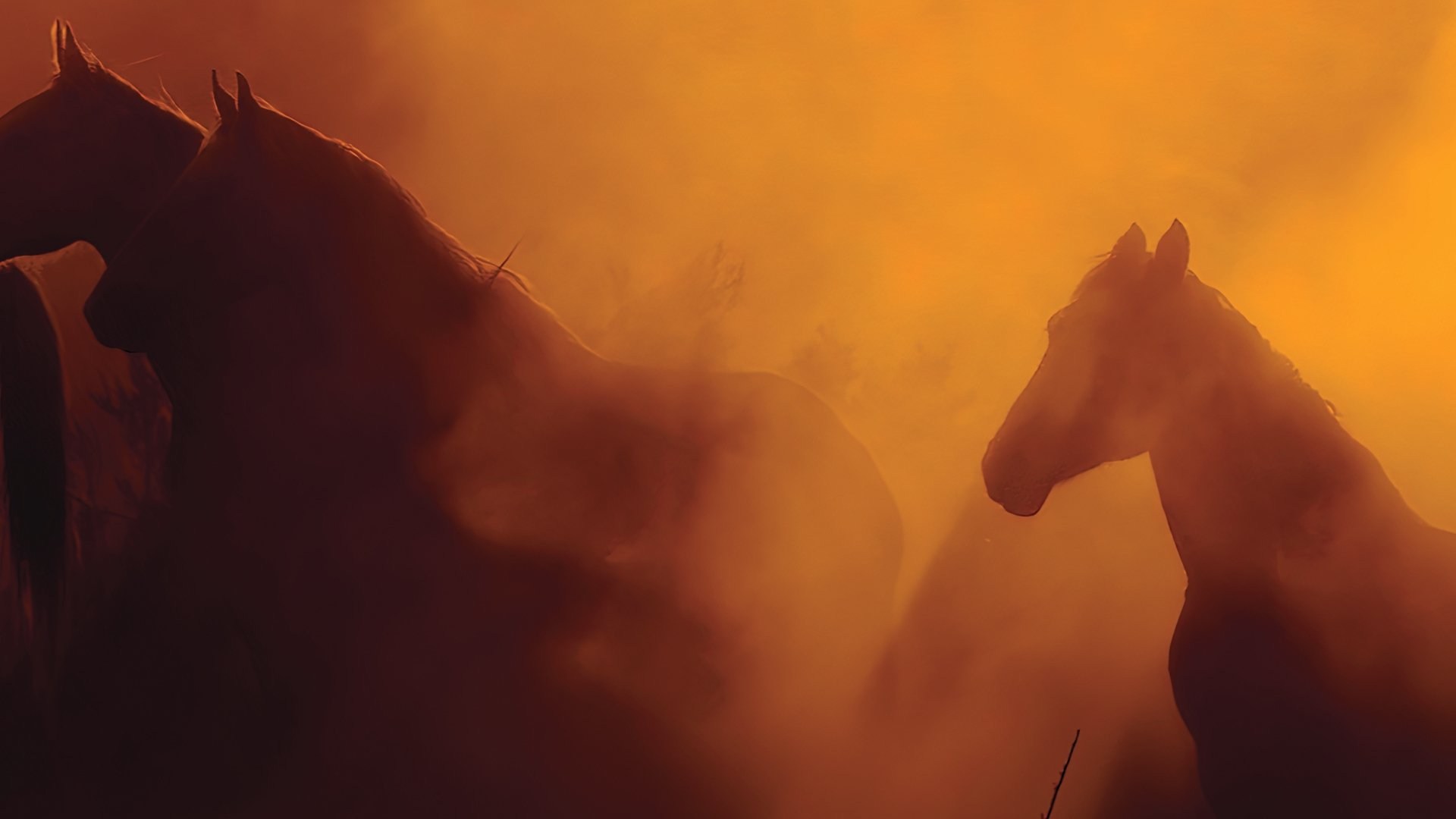 Foto de WILD BEAUTY: MUSTANG SPIRIT OF THE WEST