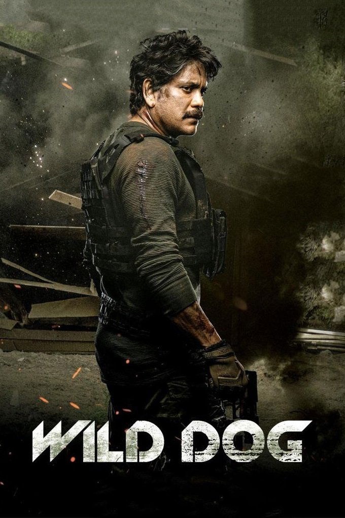Poster de WILD DOG en inglés