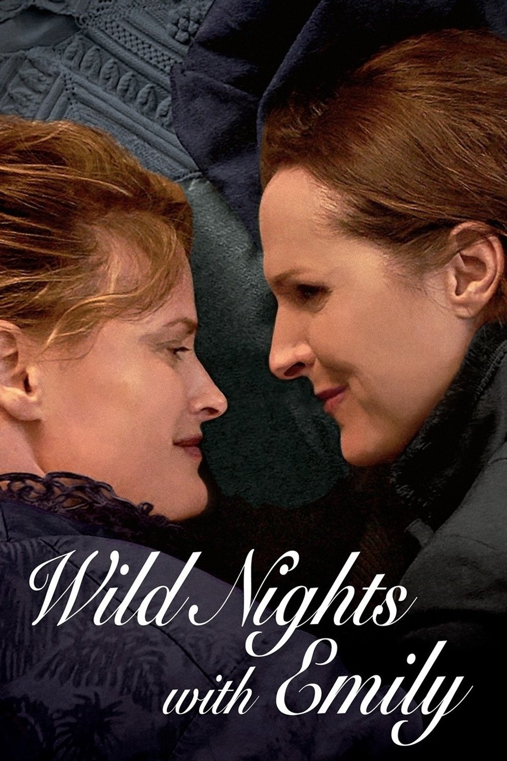 Poster de WILD NIGHTS WITH EMILY en inglés