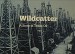 Wildcatter: The Story of Texas Oil