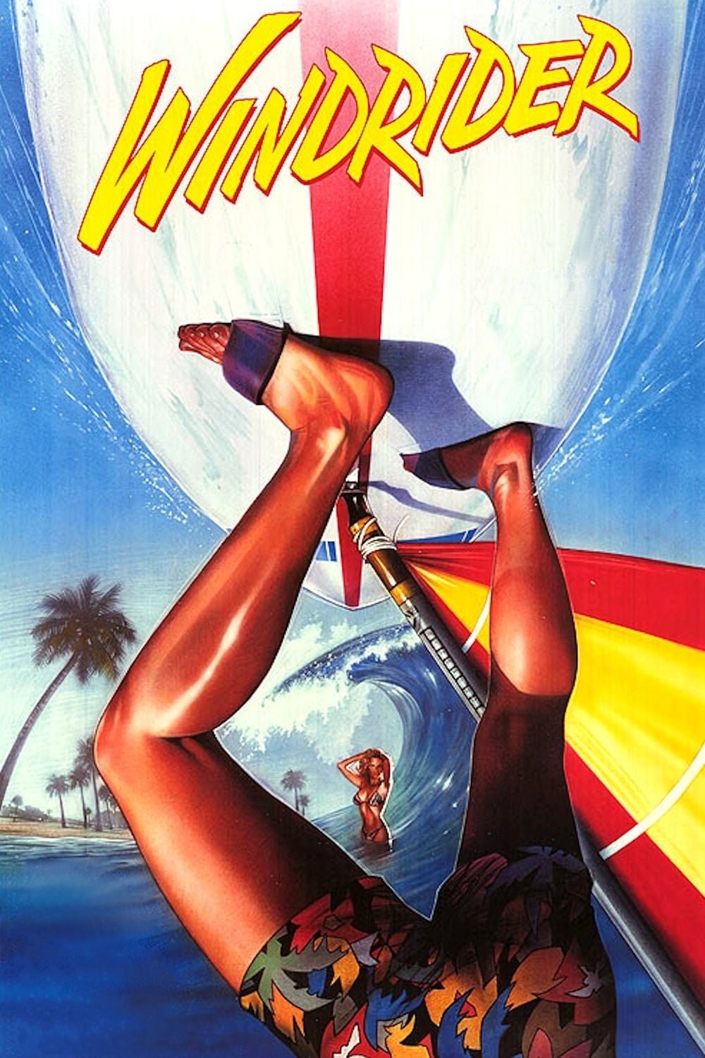 Poster de WINDRIDER en inglés