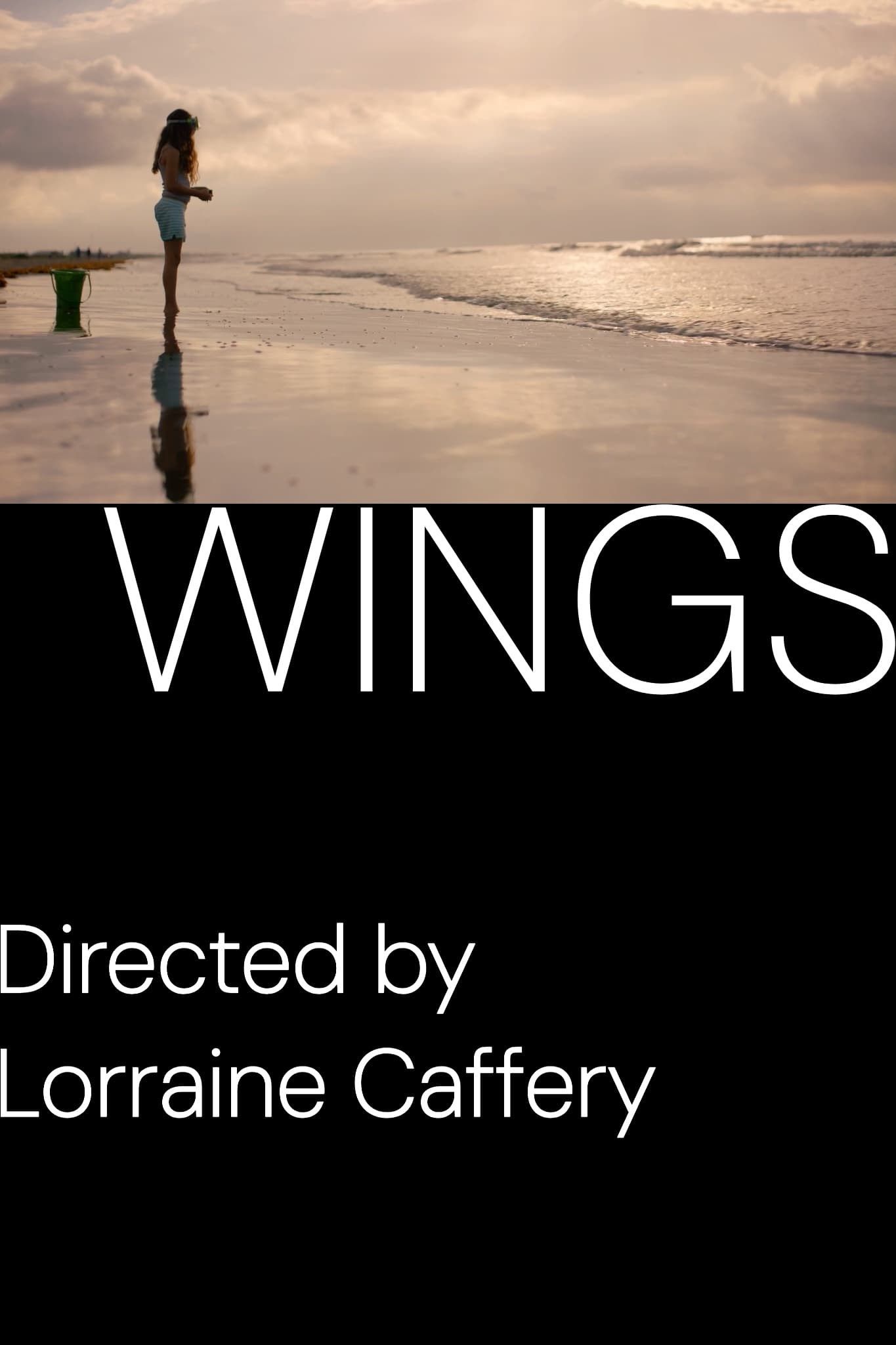 Poster de WINGS