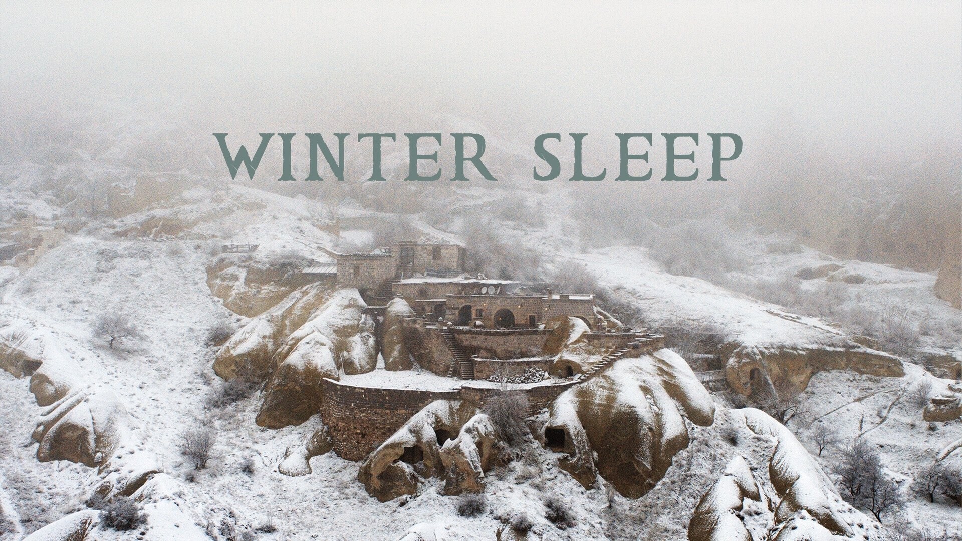 Foto de WINTER SLEEP (SUEÑO DE INVIERNO)