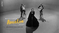 Wir alle haben Amalia im Blut: Amália Rodrigues und die Fado-Szene