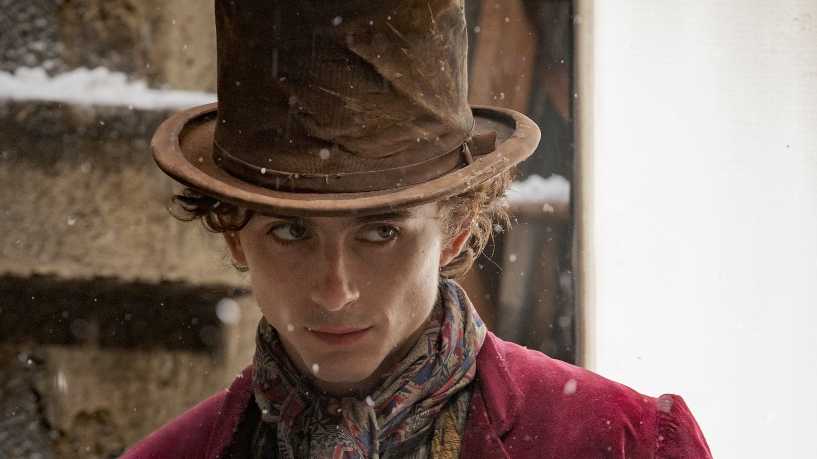 Foto de WONKA