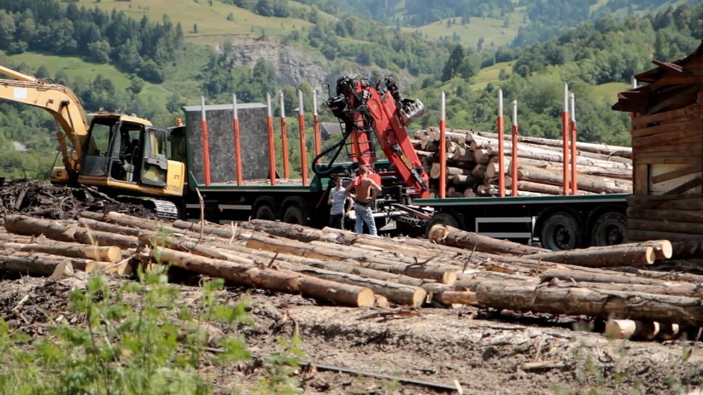 Foto de WOOD