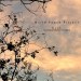 World Peace Project - Dusk - Feat. Sharat Chandra Srivastava