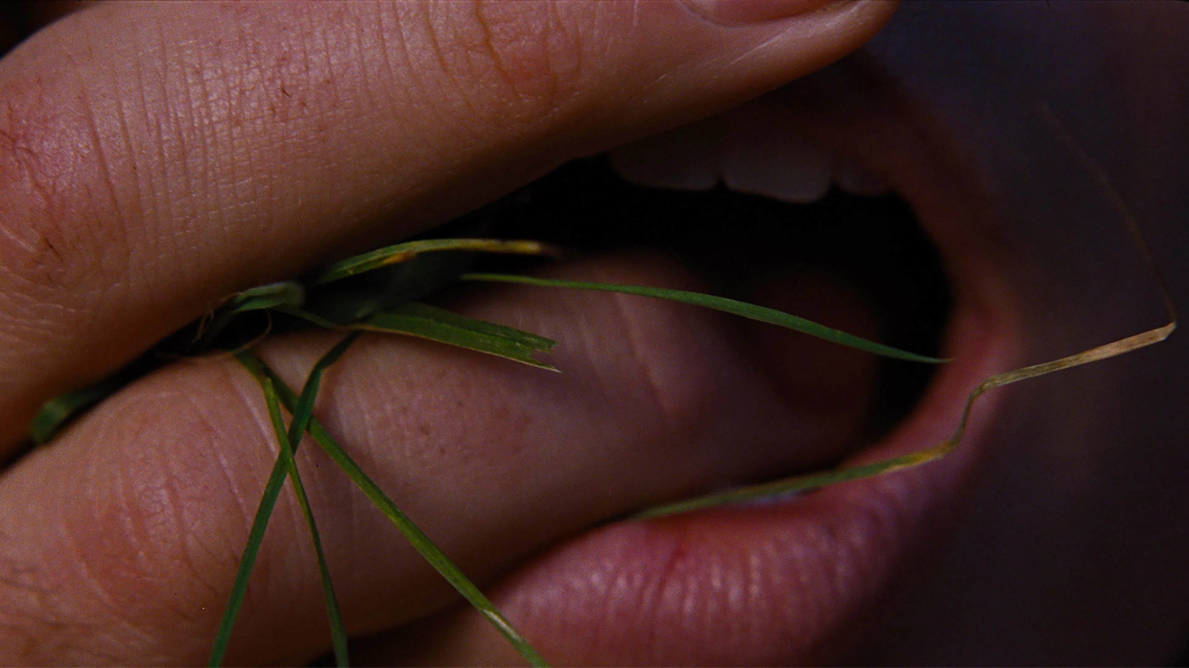 Foto de CUMBRES BORRASCOSAS