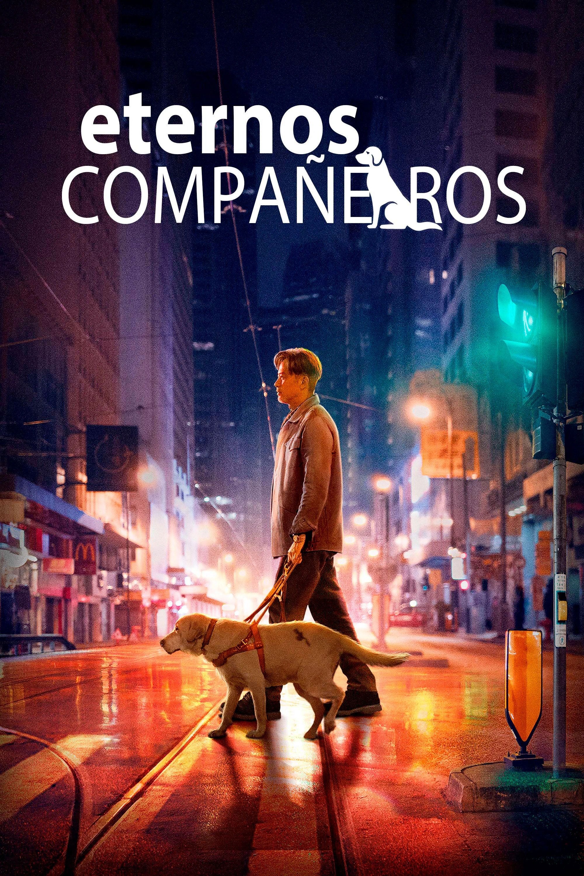 Poster de XIAO Q en español