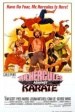 Mr. Hercules Against Karate