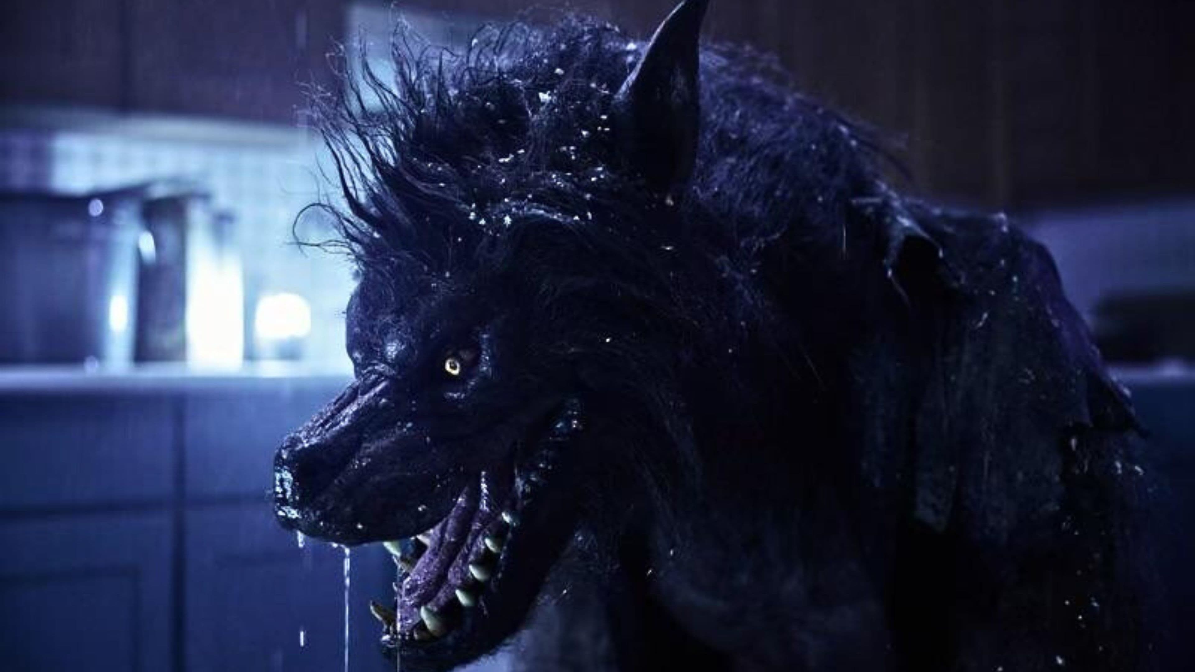 Foto de HOMBRE LOBO