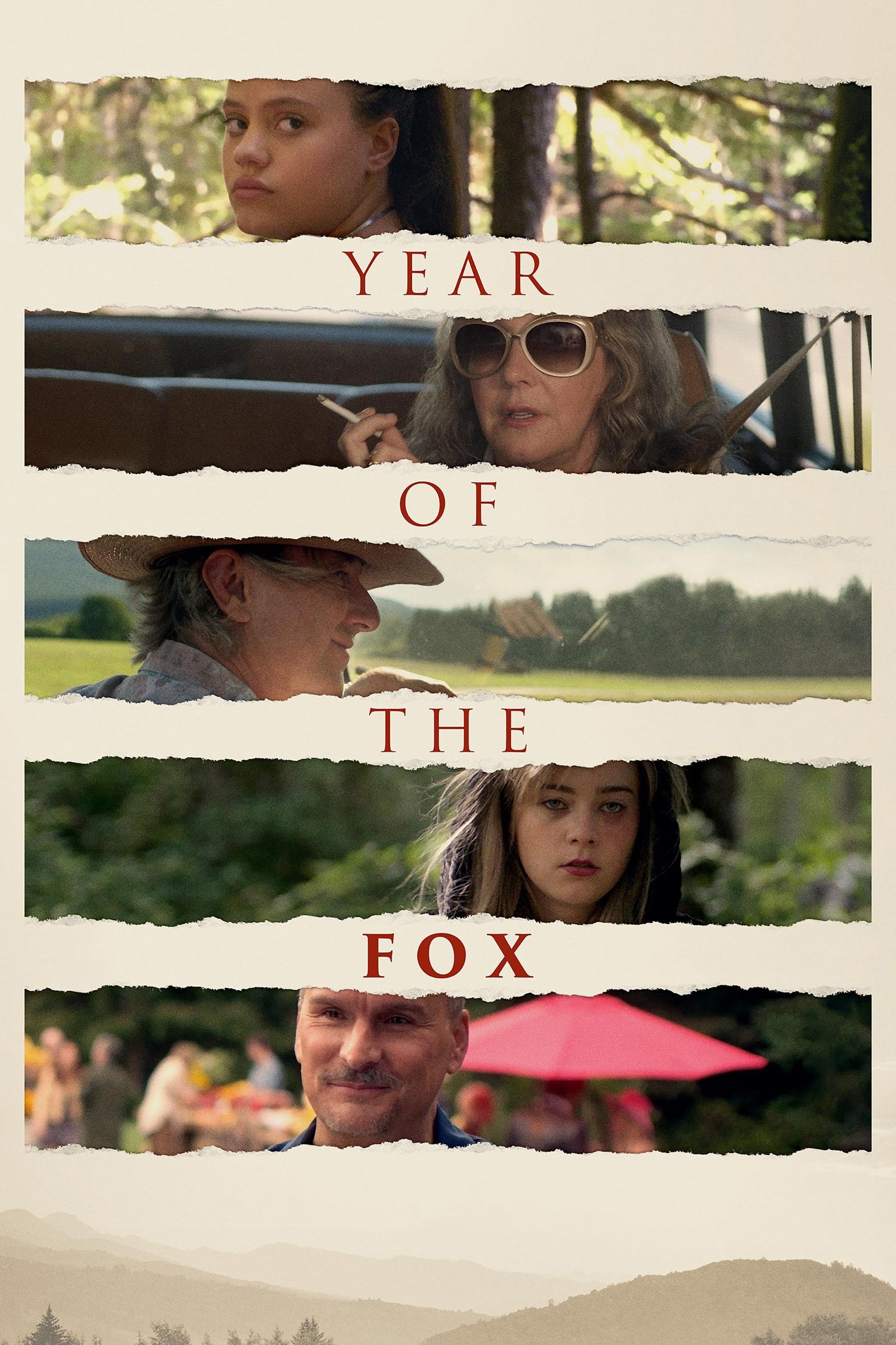 Poster de YEAR OF THE FOX