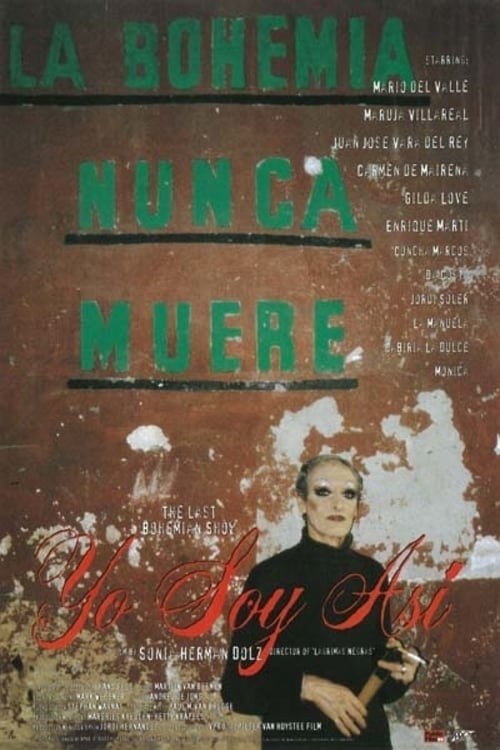 Poster de YO SOY ASÍ