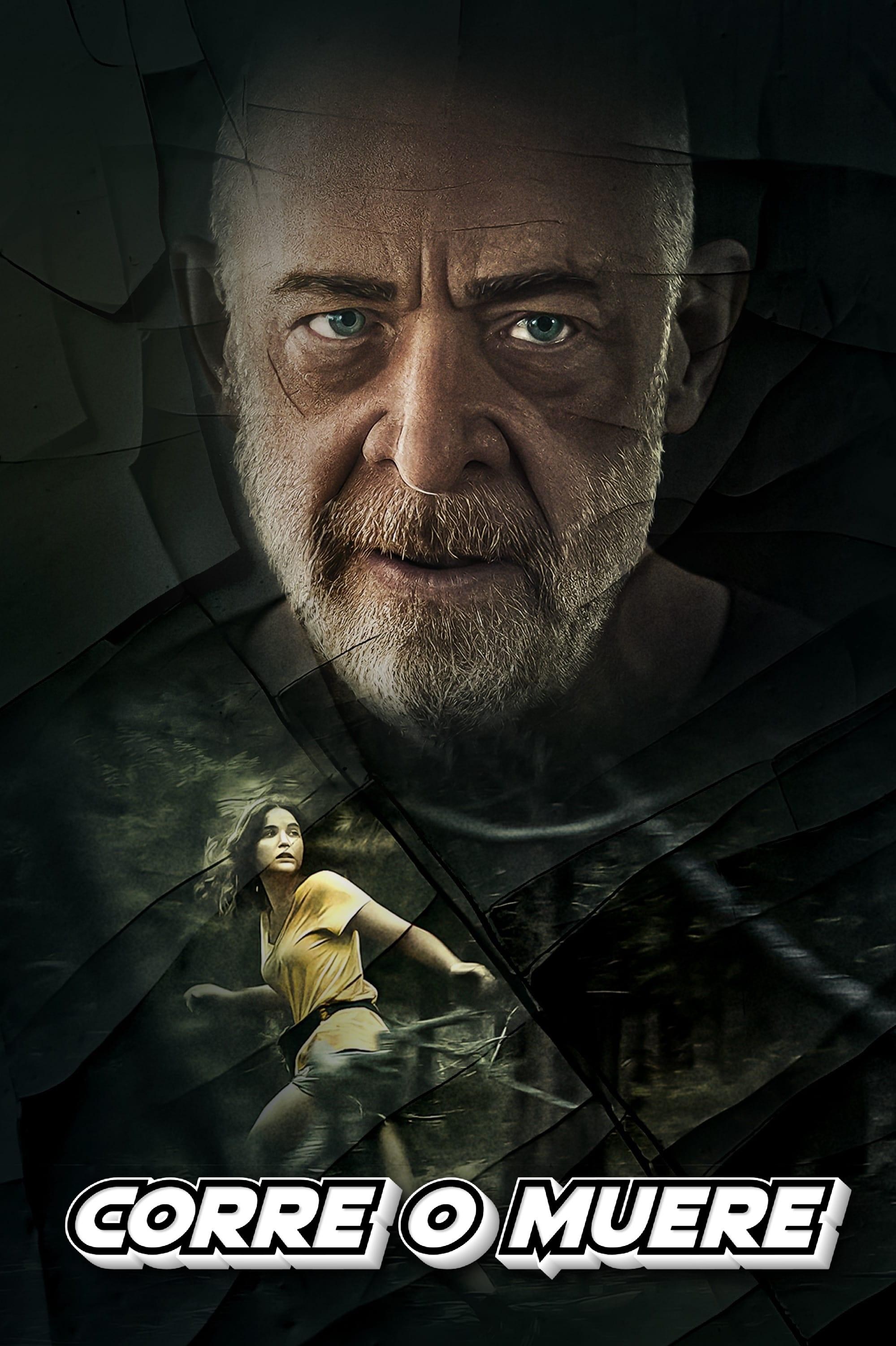 Poster de YOU CAN'T RUN FOREVER en español