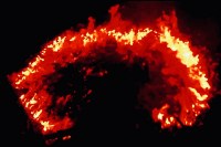 Película You Made Your Hell and Now You're Gonna Burn in It