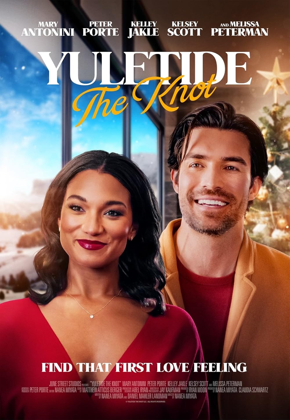 Poster de YULETIDE THE KNOT