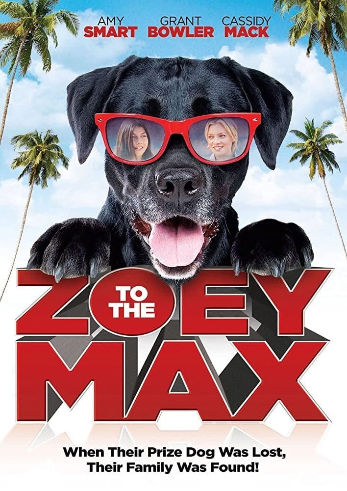 Poster de ZOEY TO THE MAX en inglés