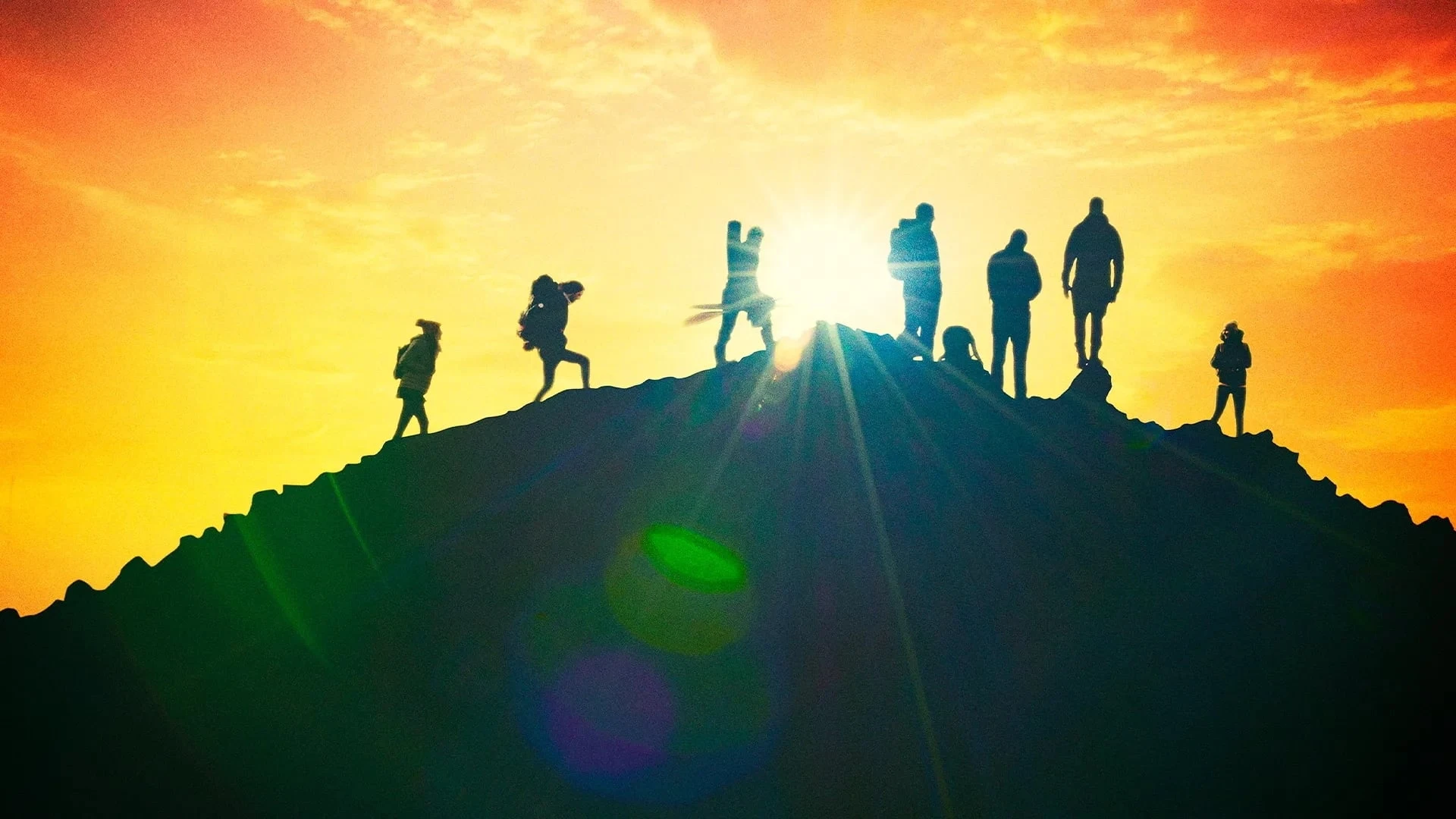Foto de 100 Days Wild