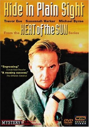 Heat of the Sun