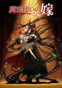 Serie Mahô Tsukai no Yome